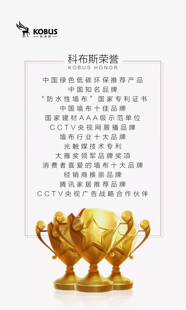 科布斯无缝墙布品牌创始人朱迦南先生为自己品牌代言！