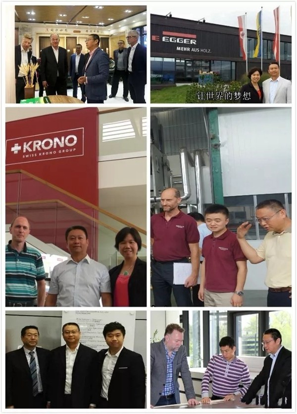 红棉花板材&成都代理商金维斯强强联合,共建绿色家居!