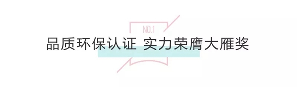 3D无漆木门2019开年荣获“木门十佳品牌”等多项大奖!
