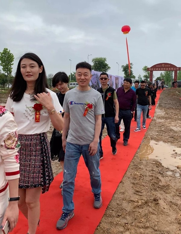 东威利整装的湖北宝威家居科技有限公司项目奠基典礼圆满落幕！