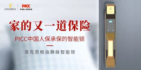 洛克思格指静脉锁安全可靠，家的又一道保障