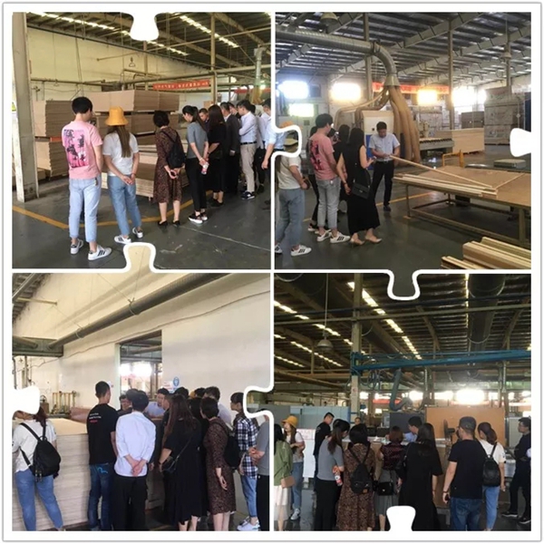 2019圣象木门第二季度精英训练营圆满落幕！