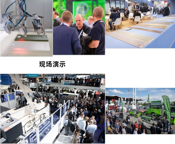 宣伟涂料精彩亮相德国汉诺威LIGNA2019展