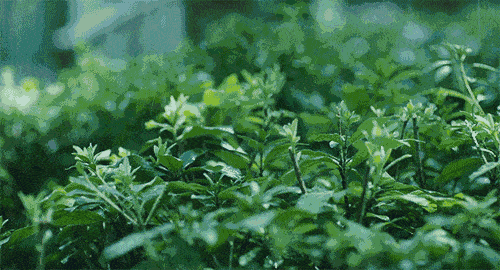 雅诗澜无缝墙布：梅雨季到来，是时候收藏一波墙布防霉妙招了