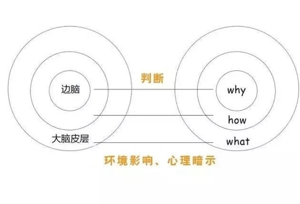 郁金香软装告诉你如何提高成单率与品牌知名度