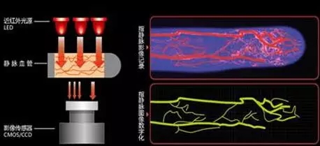 顶吉智能锁为您科普常见的六种生物识别技术