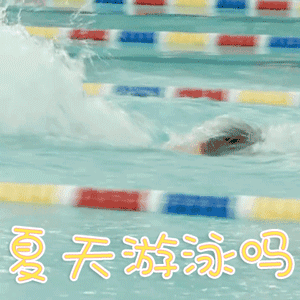 丽都门窗赞助2019年福建省全民健身运动会“雅格里香杯”东山县第一届游泳邀请赛