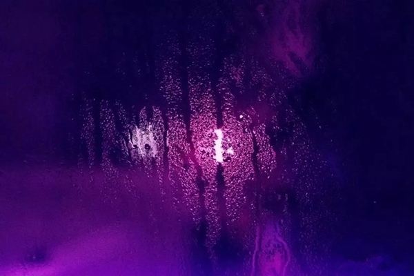 御秀刺绣墙布：享受紫色空间，体验古典贵族风情