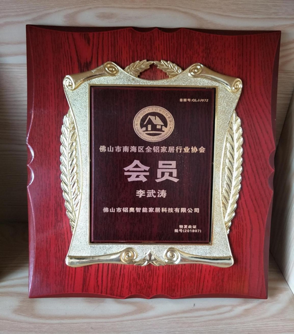 豪铝家居董事长李武涛:创新是企业优先考虑的要素 豪铝家居董事长李武涛:创新是企业优先考虑的要素