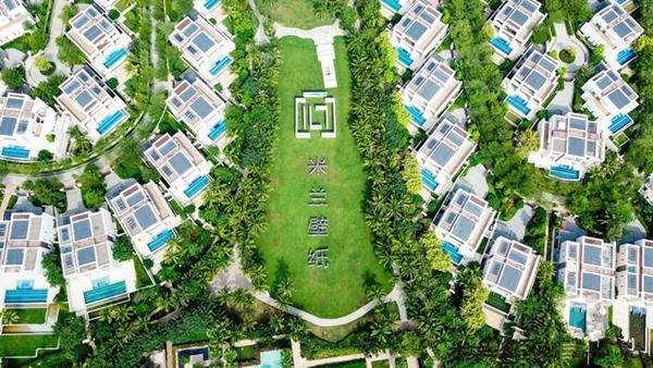 米兰壁纸·墙布2019年上半年捷报频传，砥砺歌行