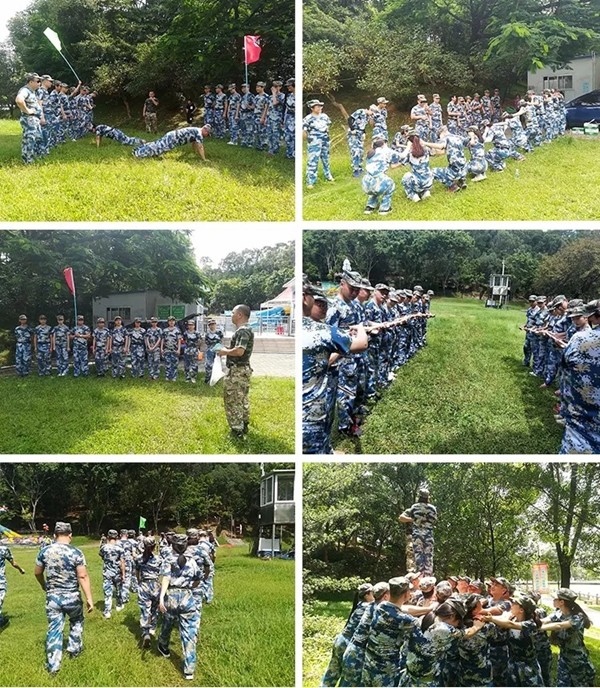 威萨不锈钢指纹锁成功开展团队拓展训练活动，增进团队凝聚力
