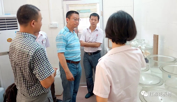 红棉花板材检测高质量，CNAS体系被国家认可委认可