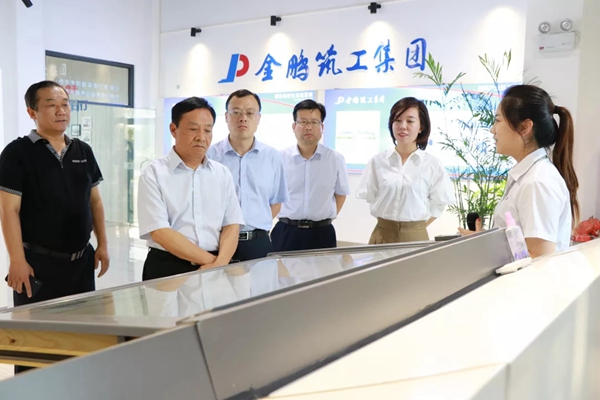 金鹏控股集团迎接枣庄市领导一行莅临考察指导
