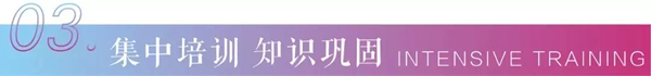 金鹏控股集团2019“鹏程计划”启动，全面开展人才培养工作