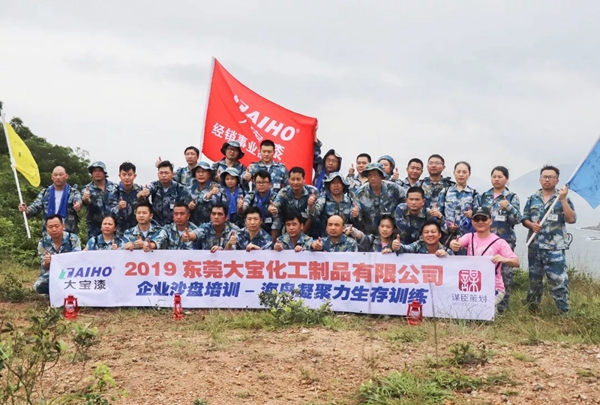2019年大宝漆经销事业部特训圆满结束