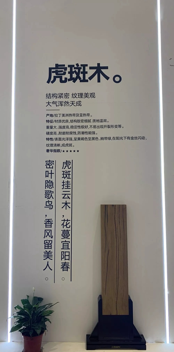 新欧门窗中国建博会(广州)新品发布和招商取得巨大成功,全面诠释意境美学 新欧门窗中国建博会(广州)新品发布和招商取得巨大成功,全面诠释意境美学