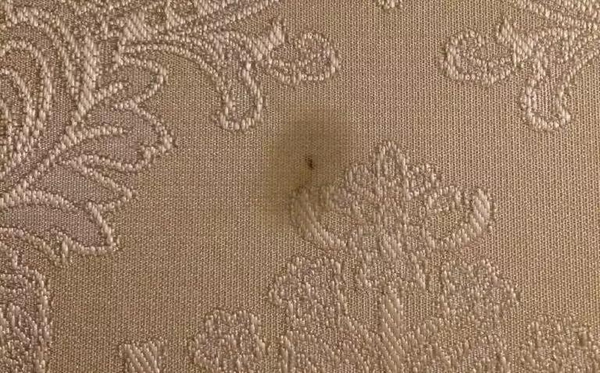 可罗雅墙布告诉你有哪些保养墙布的小妙招 可罗雅墙布告诉你有哪些保养墙布的小妙招