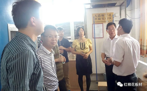 红棉花板材检测高质量，CNAS体系被国家认可委认可