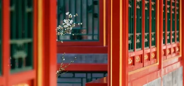 菲尼斯门窗：来一场时空的旅行，了解门窗的前世今生