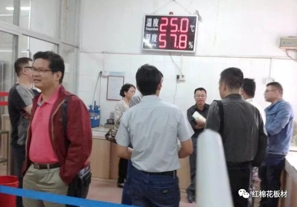 红棉花板材检测高质量，CNAS体系被国家认可委认可