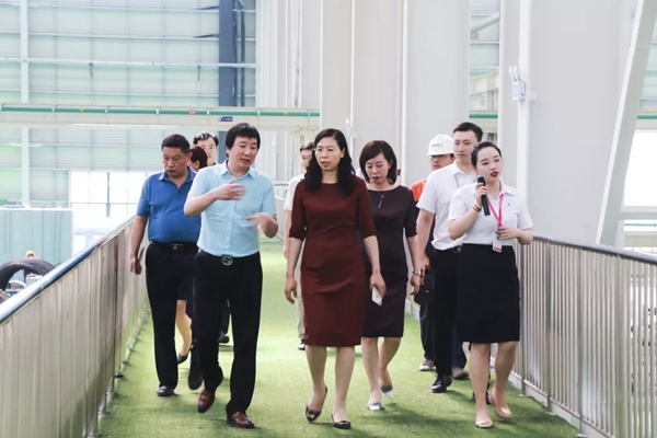 金鹏控股集团迎接山东曲阜市领导一行莅临指导考察 金鹏控股集团迎接山东曲阜市领导一行莅临指导考察