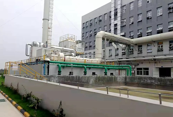 展辰涂料荣膺“2019油友喜爱的家具漆品牌”奖项