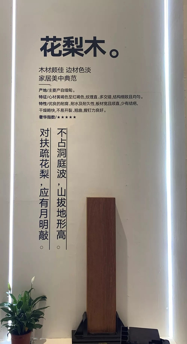新欧门窗中国建博会(广州)新品发布和招商取得巨大成功,全面诠释意境美学 新欧门窗中国建博会(广州)新品发布和招商取得巨大成功,全面诠释意境美学