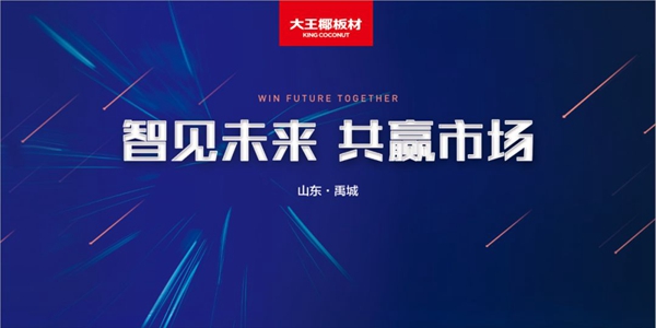 大王椰山东禹城合作伙伴会议成功召开 大王椰山东禹城合作伙伴会议成功召开