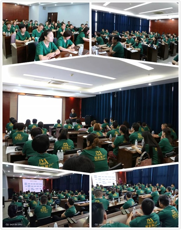 美家美户无缝墙布综合实力强化月新闻聚焦