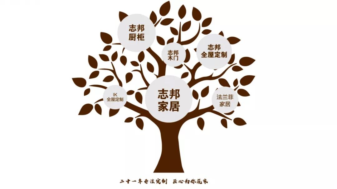 志邦家居新动作 法兰菲窗帘今天全新上市