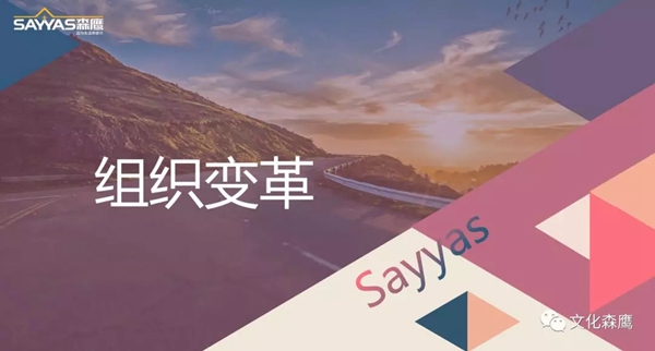 森鹰铝包木门窗举行新员工培训演讲