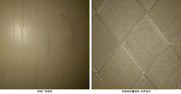 特普丽墙纸布艺教你墙布防霉小妙招
