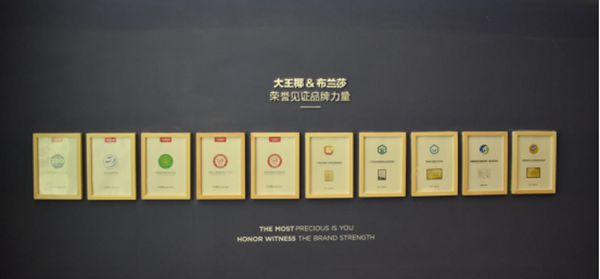 慧亚深度解读|布兰莎：你好奇你的未来家吗？