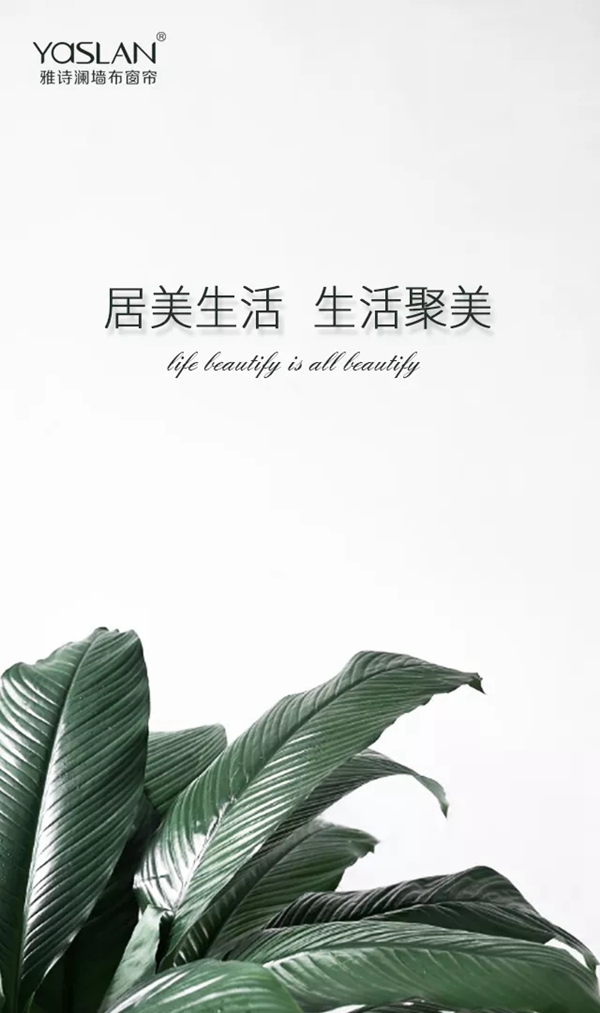 雅诗澜窗帘墙布教你如何清洁墙布