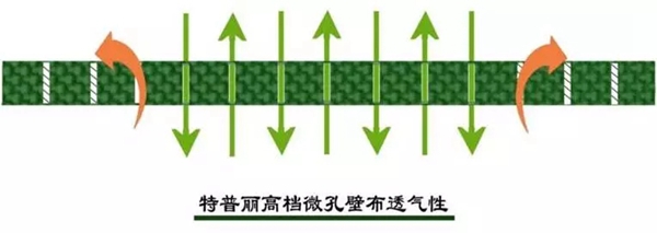 特普丽墙纸布艺教你墙布防霉小妙招