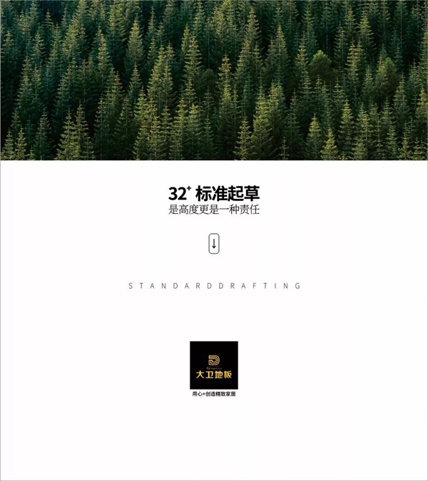 大卫地板荣获2019上半年度“零投诉品牌”奖项 大卫地板荣获2019上半年度“零投诉品牌”奖项