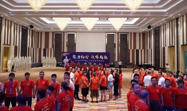 丽绣刺绣无缝墙布2019品牌战略升级峰会精彩回顾