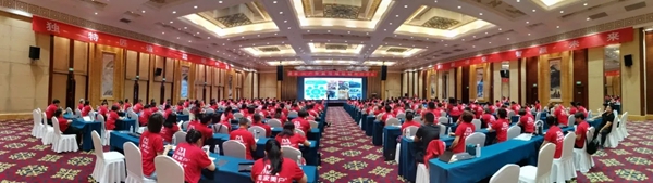 美家美户无缝墙布综合实力强化月新闻聚焦