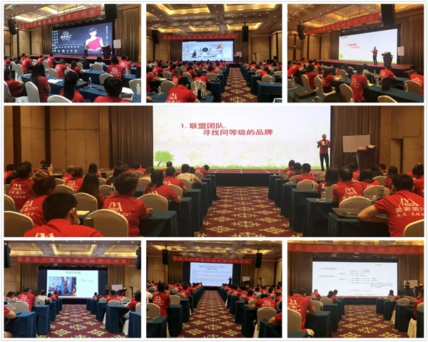 美家美户无缝墙布综合实力强化月新闻聚焦