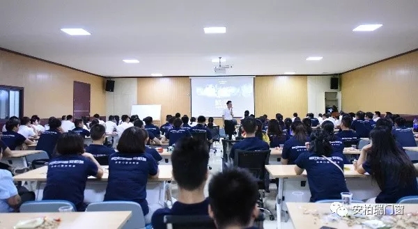 安柏瑞门窗《城堡》放映会暨2019年中总结大会圆满举行