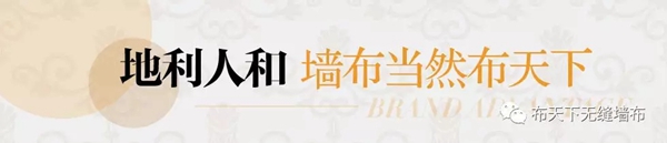 布天下无缝墙布：墙布有霉菌真的不是件小事