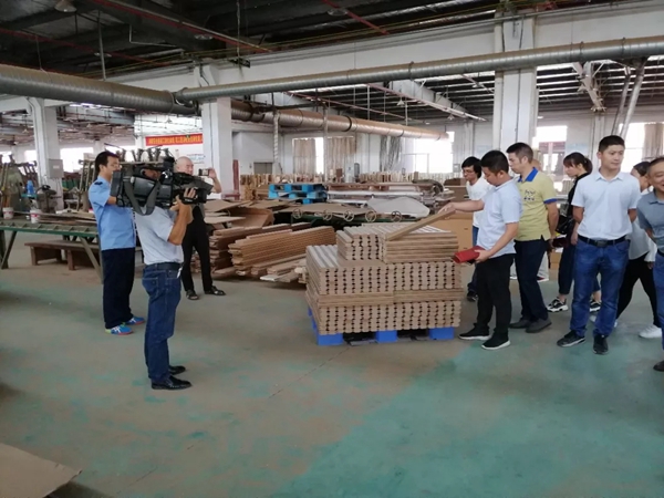 金凯木门按照蓝色乐活理念 为客户提供高品质产品及服务