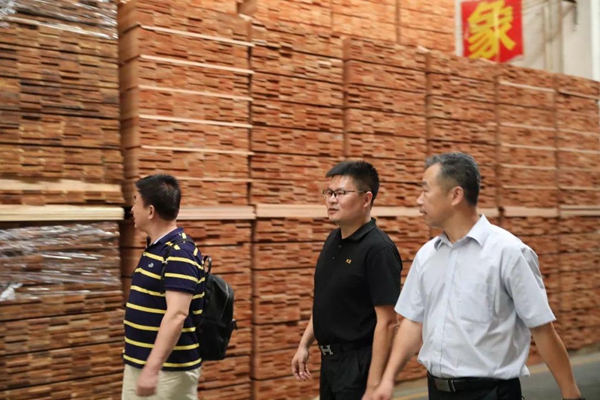 中国林产工业协会专家学者媒体采风团莅临大卫地板考察