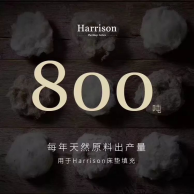 皇朝定制+将参展中国家博会 邀您体验英国贵族睡眠