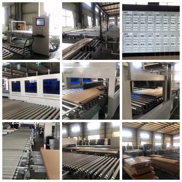 兔宝宝全屋定制工业4.0车间全自动化包装线正式投入使用