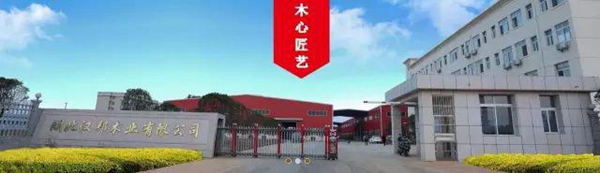 汉邦地板聚焦核心渠道专项培训圆满落幕