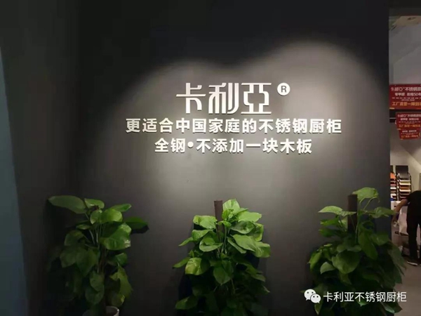 CANLiA卡利亚不锈钢橱柜春华秋实 真贵于芯