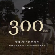 皇朝定制+将参展中国家博会 邀您体验英国贵族睡眠