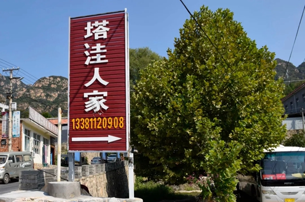 七特丽总部2019夏季拓展训练活动完美收官