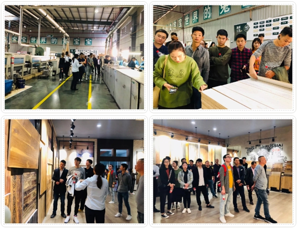 湖北武汉怡安居金牌合作商兔宝宝游学圆满结束